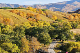 内蒙乌兰布统草原