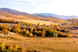 内蒙乌兰布统草原