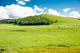 内蒙乌兰布统草原