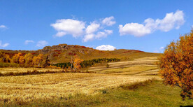 内蒙乌兰布统草原