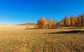 内蒙乌兰布统草原