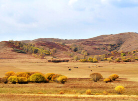 内蒙乌兰布统草原