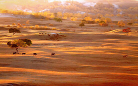 内蒙乌兰布统草原