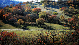 内蒙乌兰布统草原