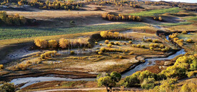 内蒙乌兰布统草原