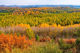内蒙乌兰布统草原
