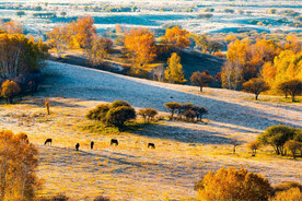内蒙乌兰布统草原