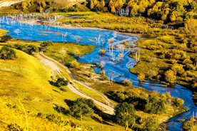 内蒙乌兰布统草原