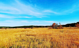 内蒙乌兰布统草原