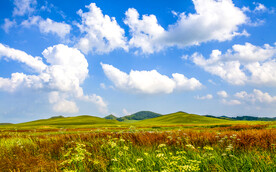 内蒙乌兰布统草原