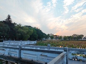 秋天荷塘观光过道