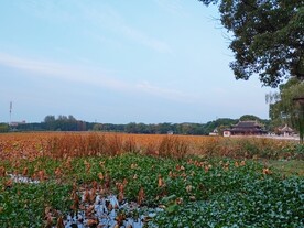 秋天荷塘古建筑