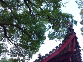 中式古建筑屋顶房檐