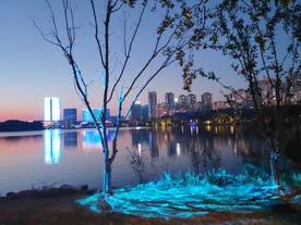 湖边建筑灯光树