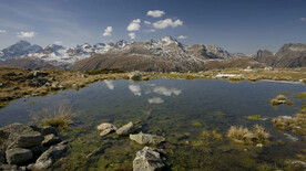 雷蒂亚铁路  伯尔尼纳景观  