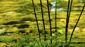 布里特威斯湖国家公园     