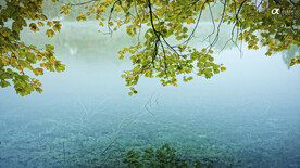 布里特威斯湖国家公园     