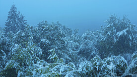 布里特威斯湖国家公园     