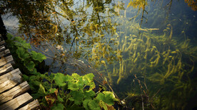 布里特威斯湖国家公园     