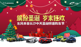 圣诞节汽车展板