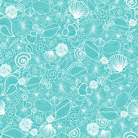 线条 贝壳 花朵 