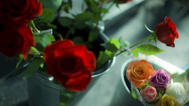 伯尔尼古城   瑞士   