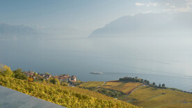 伯尔尼古城   瑞士 