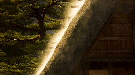 白川乡和五屹山历史村座   