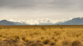 冰川湾国家公园