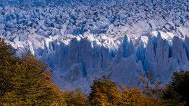 冰川湾国家公园