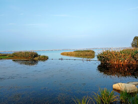 湿地湖中跨湖大桥