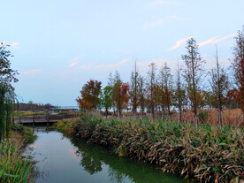 秋天湿地小桥流水
