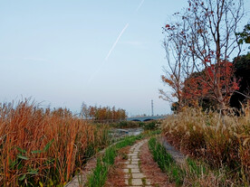 秋天石板路石拱桥