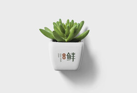 绿植样机