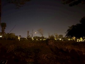 江边景色 远处圆月