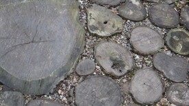 大大小小的木桩小路