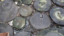 大大小小的木桩小路