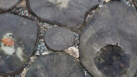 大大小小的木桩小路