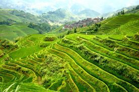 龙胜龙脊梯田风光
