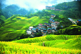 龙胜龙脊梯田风光