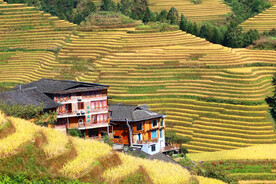 龙胜龙脊梯田风光