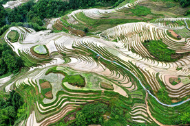 龙胜龙脊梯田风光