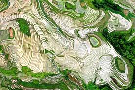 龙胜龙脊梯田风光