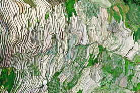 龙胜龙脊梯田风光