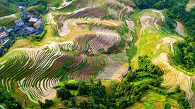 龙胜龙脊梯田风光
