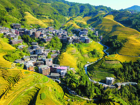 龙胜龙脊梯田风