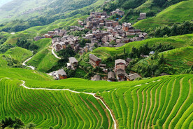 龙胜龙脊梯田风光
