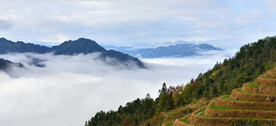 龙胜龙脊梯田风光
