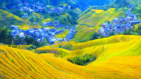 龙胜龙脊梯田风光