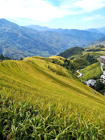 龙胜龙脊梯田风光